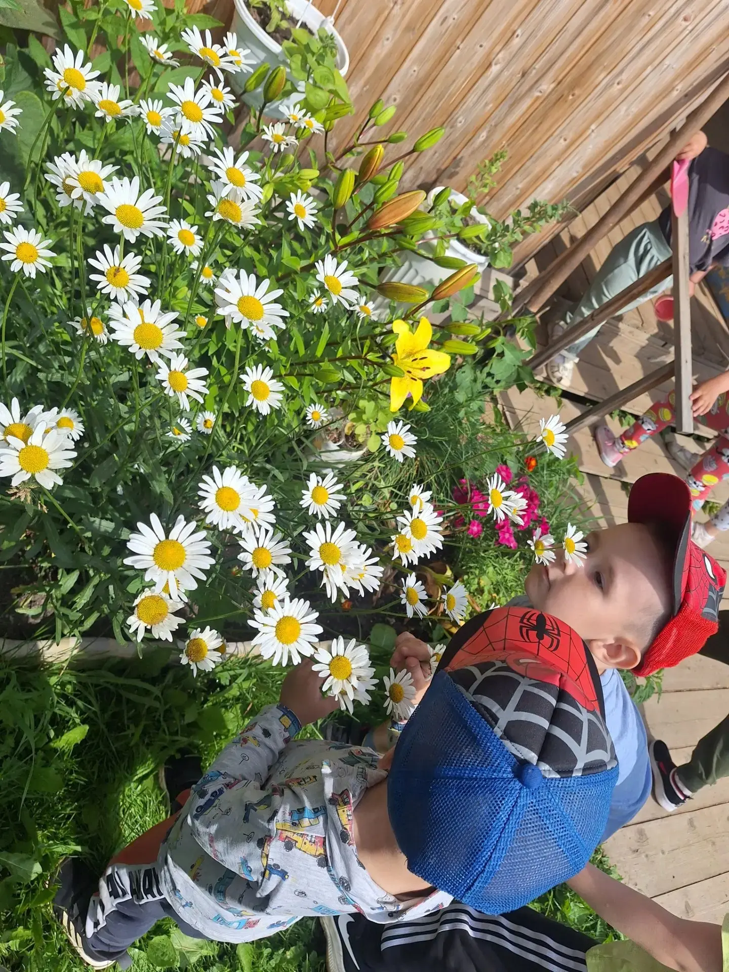 Началась новая летняя неделя "Мой дом, моя семья. Семейные традиции"👨‍👩‍👧‍👦  ❤️
Сегодня  ребята 