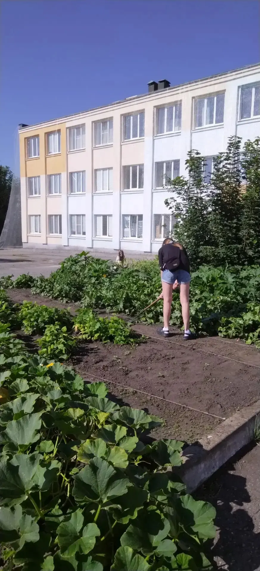 5 трудовая четверть, ребята приводят в порядок школьную территорию
