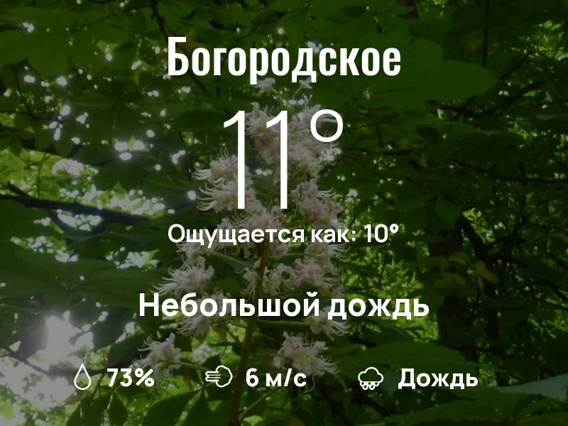 Что с погодой в Богородском?