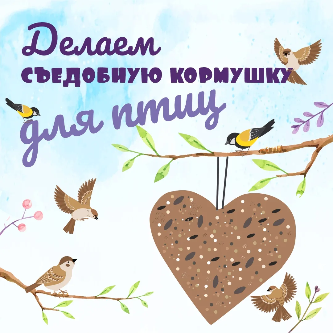 🐦☀️ С приходом весны наши пернатые друзья возвращаются из тёплых краёв — и им очень ну...