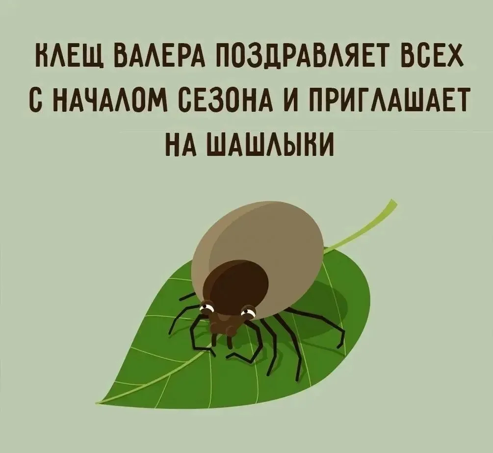 Кто не спрятался, я иду кусать 🕷

В лесу, парке или на даче важно помнить о защите от клещей. Укус 