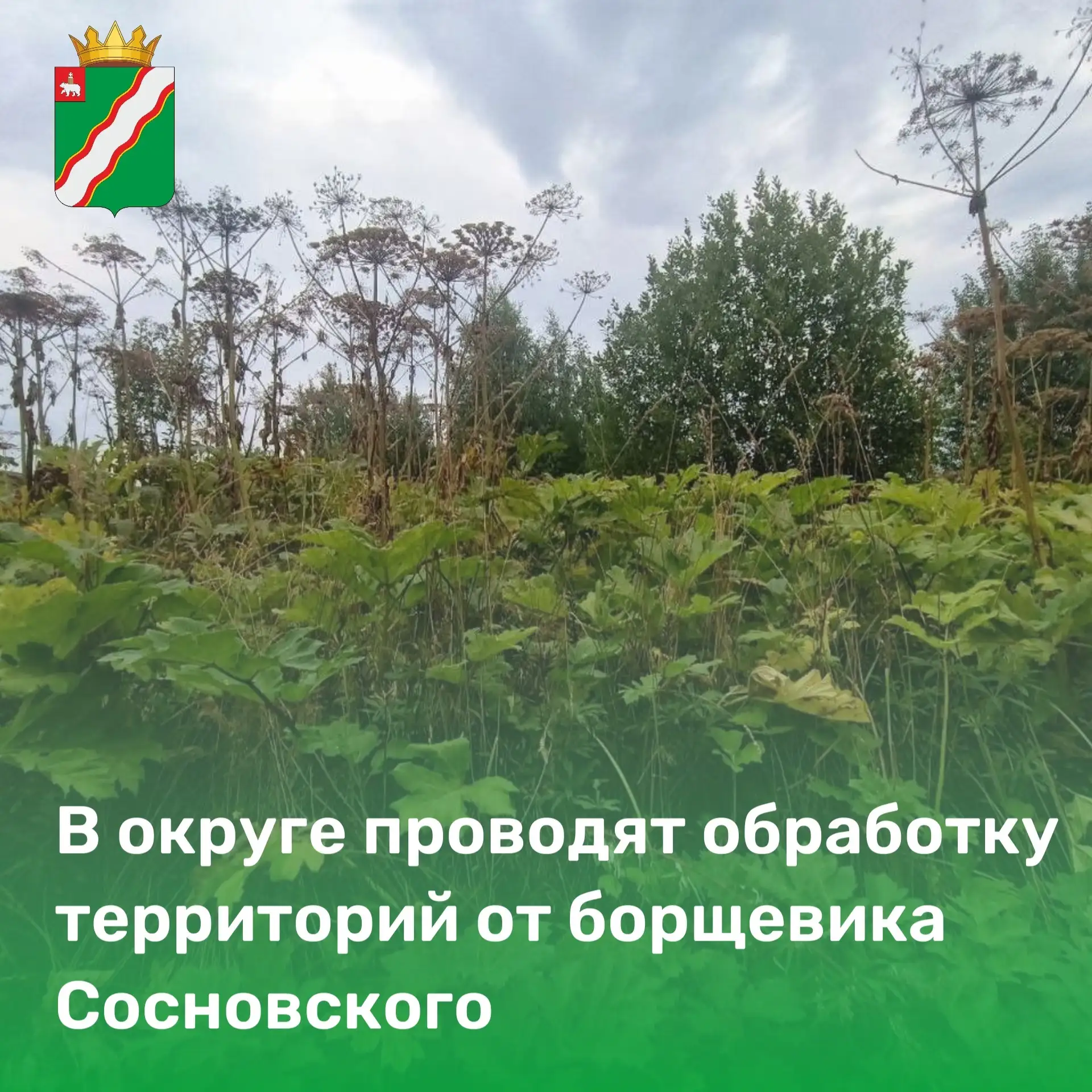 ✅В текущем году приведут обработку порядка 44 га земель, находящихся в муниципальной со...
