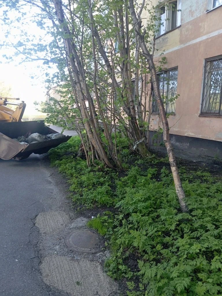 💪Вывозим все, что мешает и все, что не должно лежать на улице.