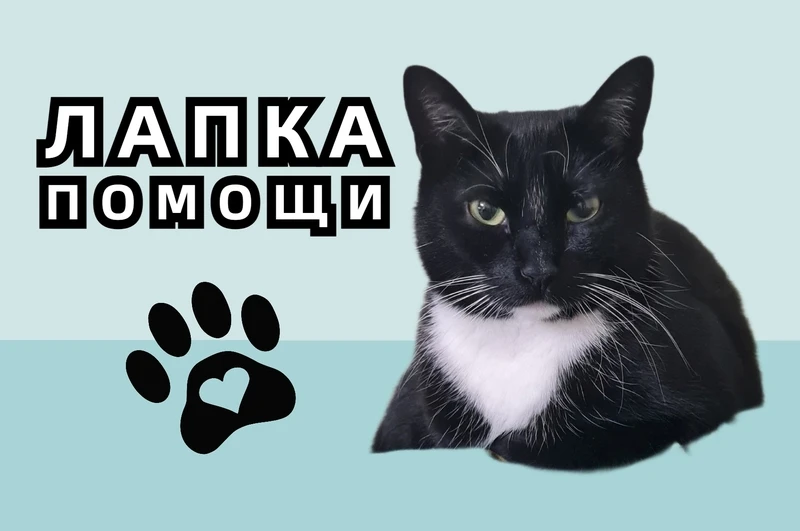 💕Дорогие родители!