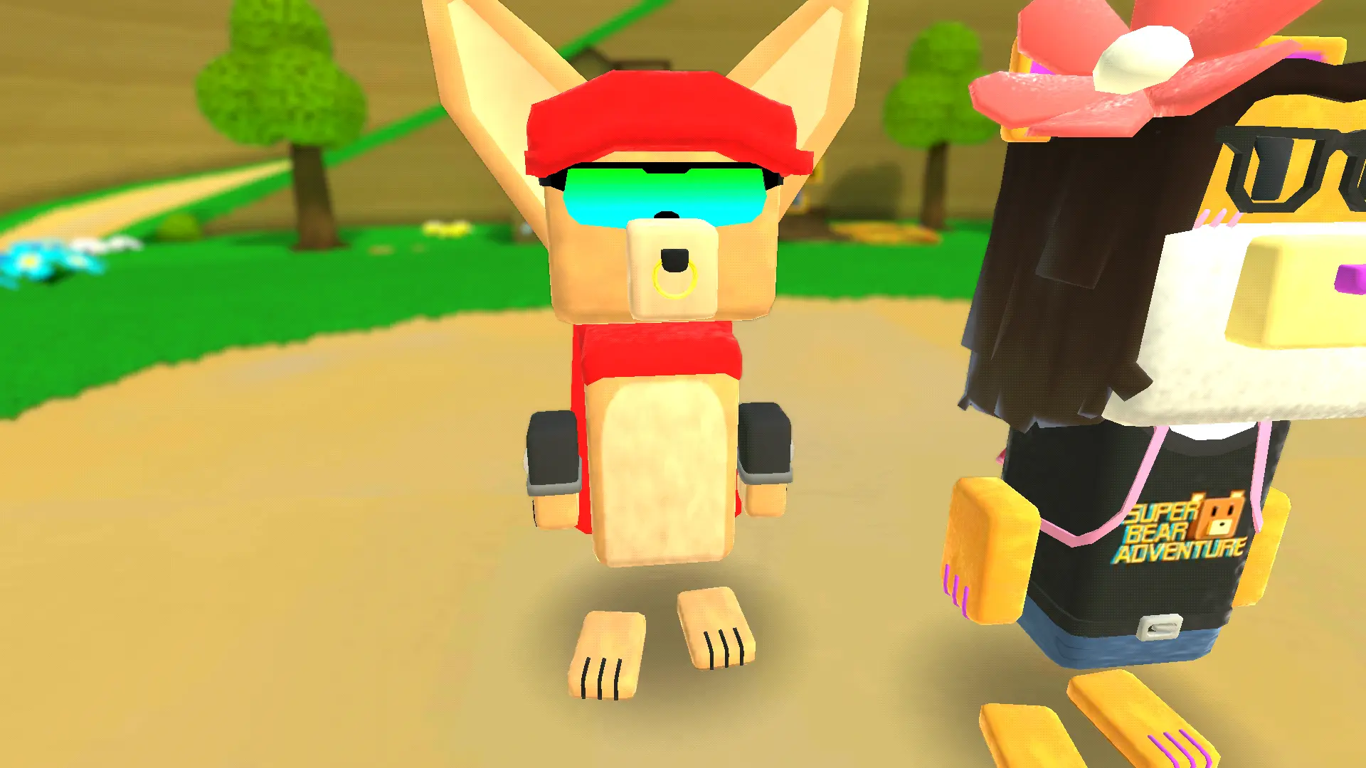 Healo62