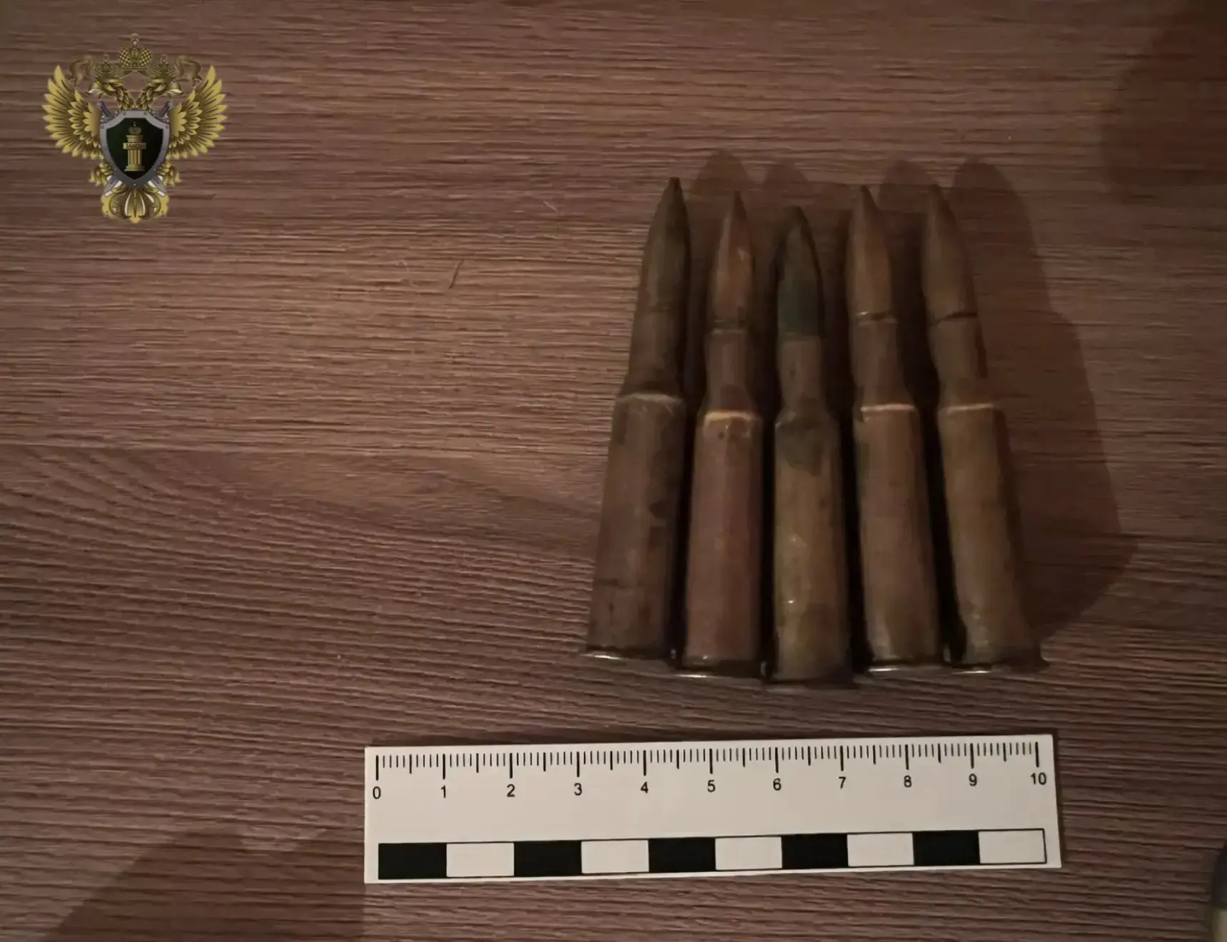 В Хабаровском крае вынесен приговор местному жителю за незаконное хранение боеприпасов к огнестрельн