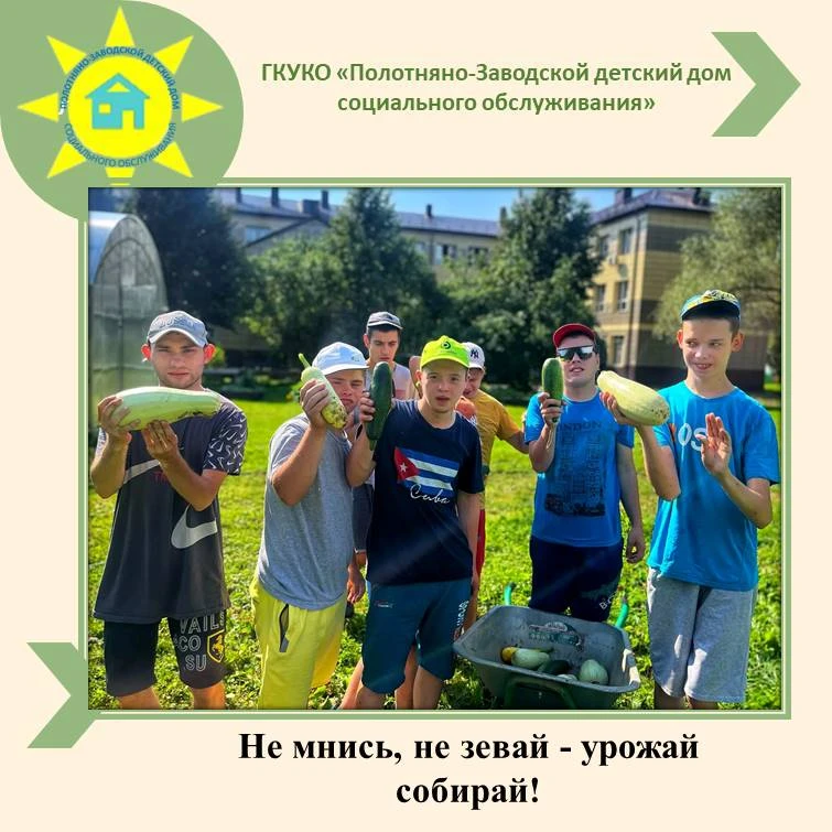 Не мнись, не зевай - урожай собирай!