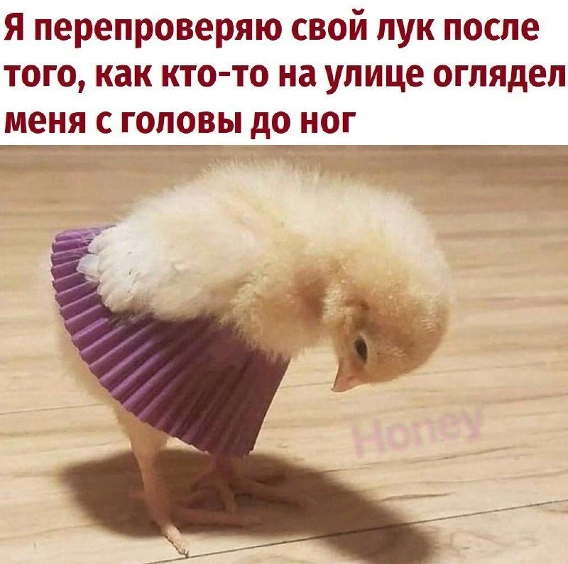 Жиза дня💘