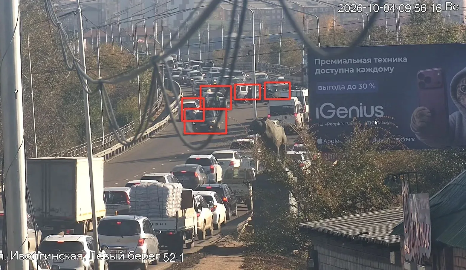 Пробка на Левом берегу начинается у моста с ланями