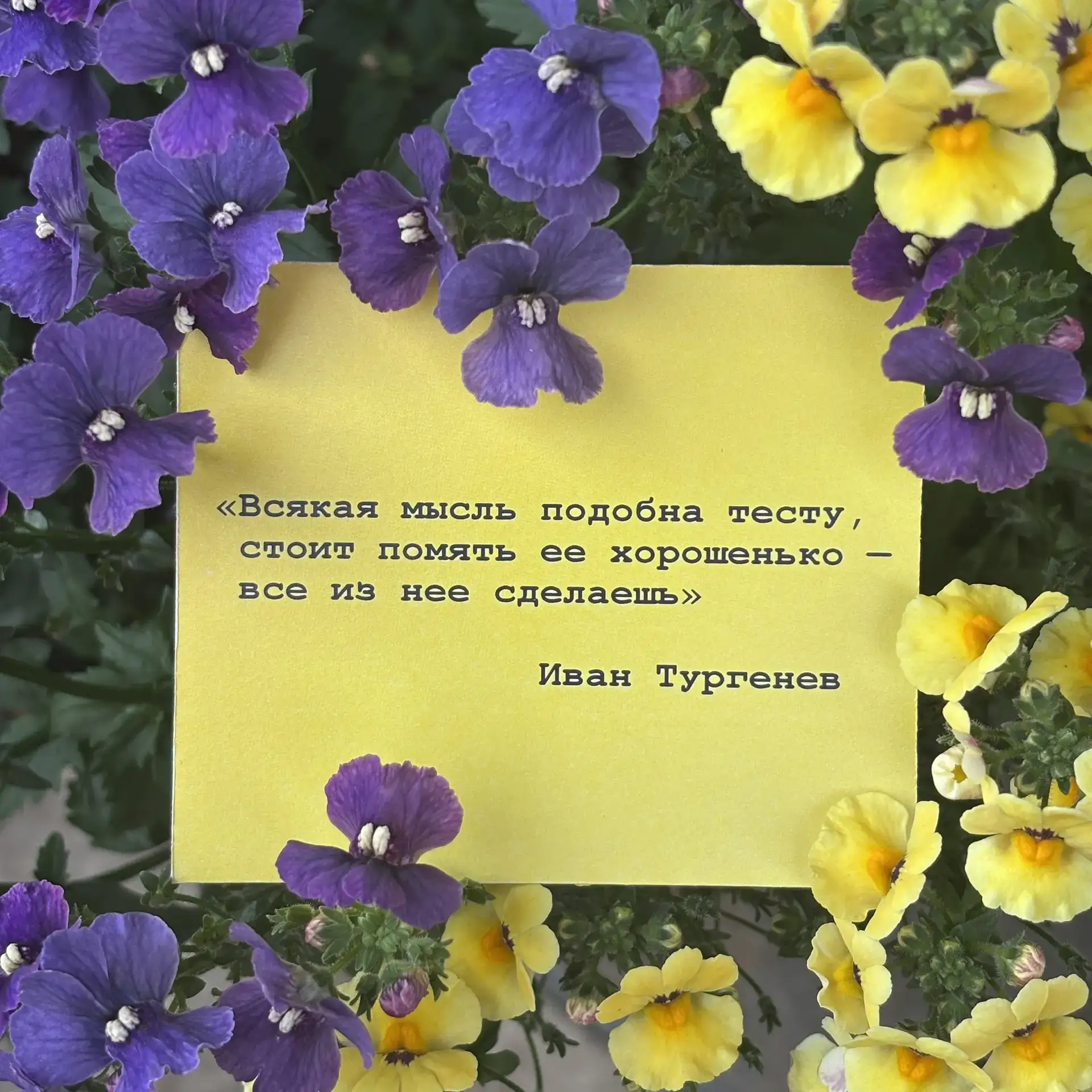 #летняямотивация #саморазвитие #ИПОСамГМУ