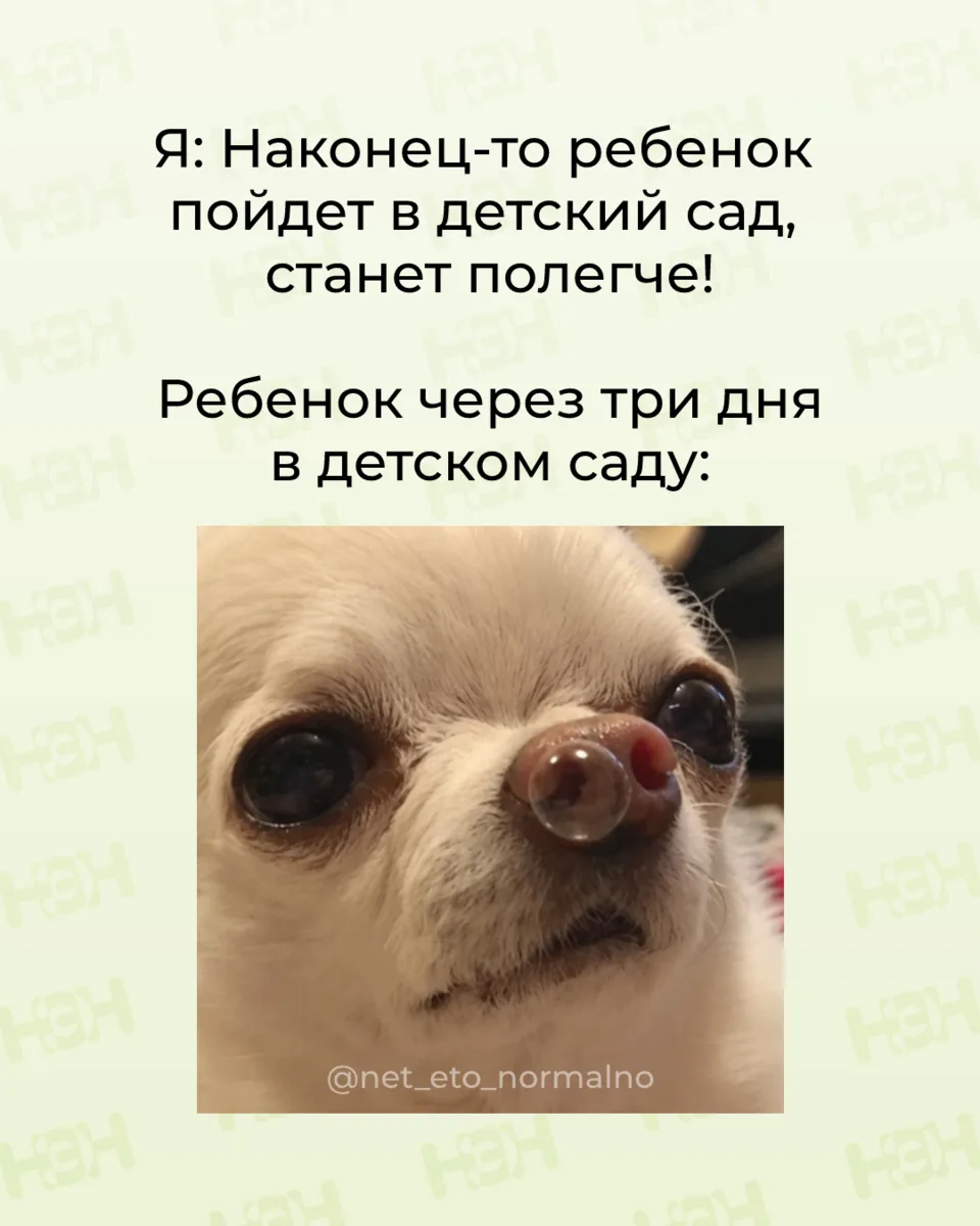 #мемы_нэн