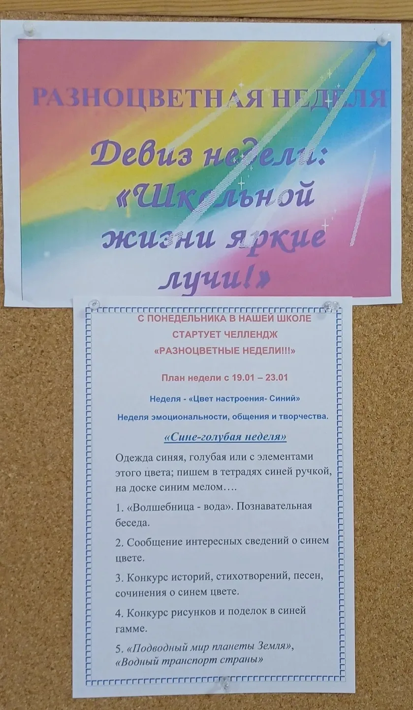 🇷🇺 С понедельника, 19 января по 23 января, у нас начинается сине-голубая неделя!
