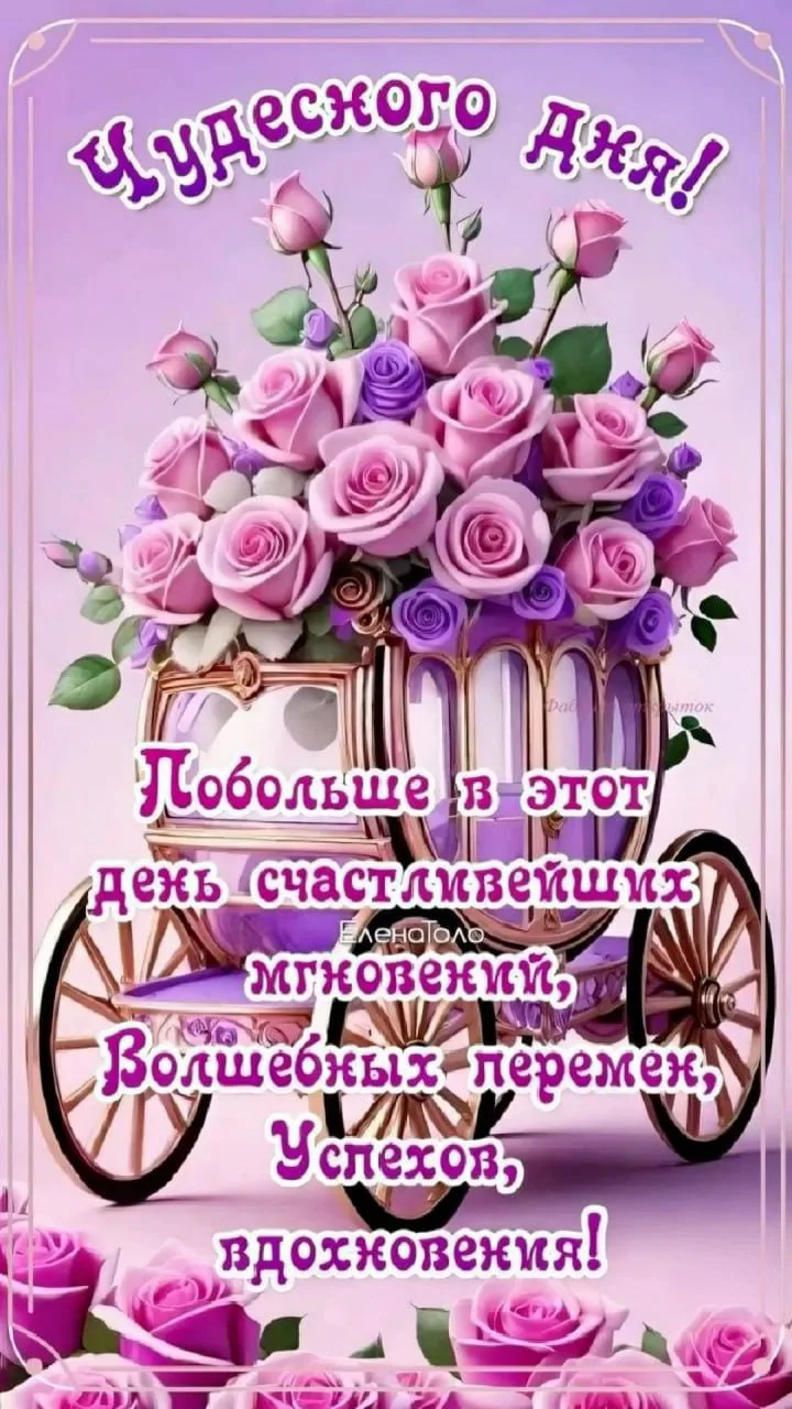 Доброго дня!🌺🌸