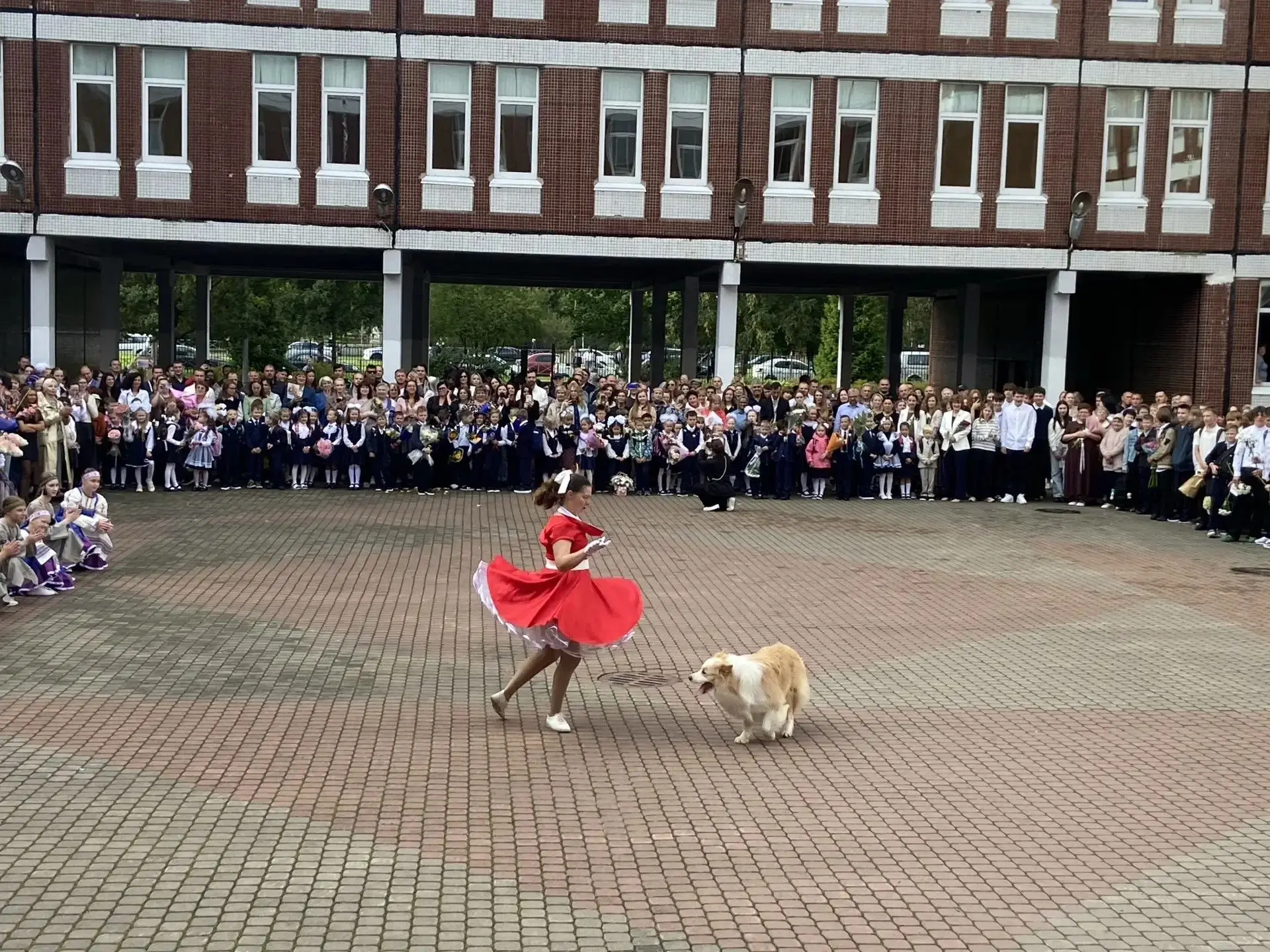 🐶Настоящим подарком для всех участников праздничной линейки стало выступление дрессиро...