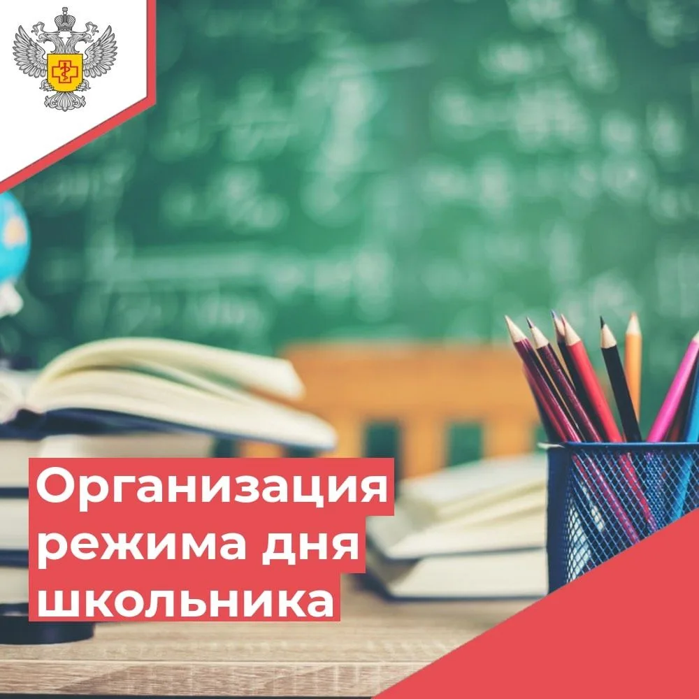 ✅Правильно выстроенный режим дня помогает ребёнку сохранять работоспособность, поддержи...