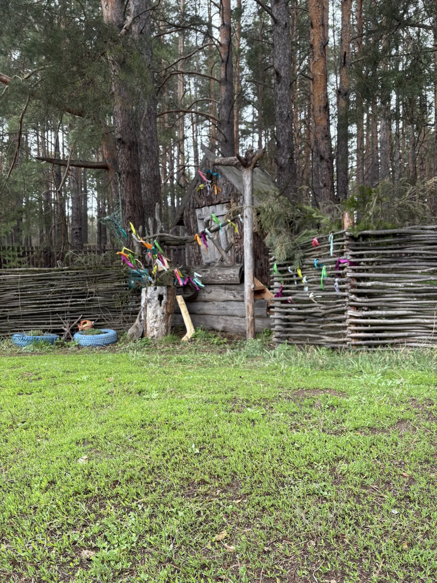 🌳 Весна в самом расцвете сил!