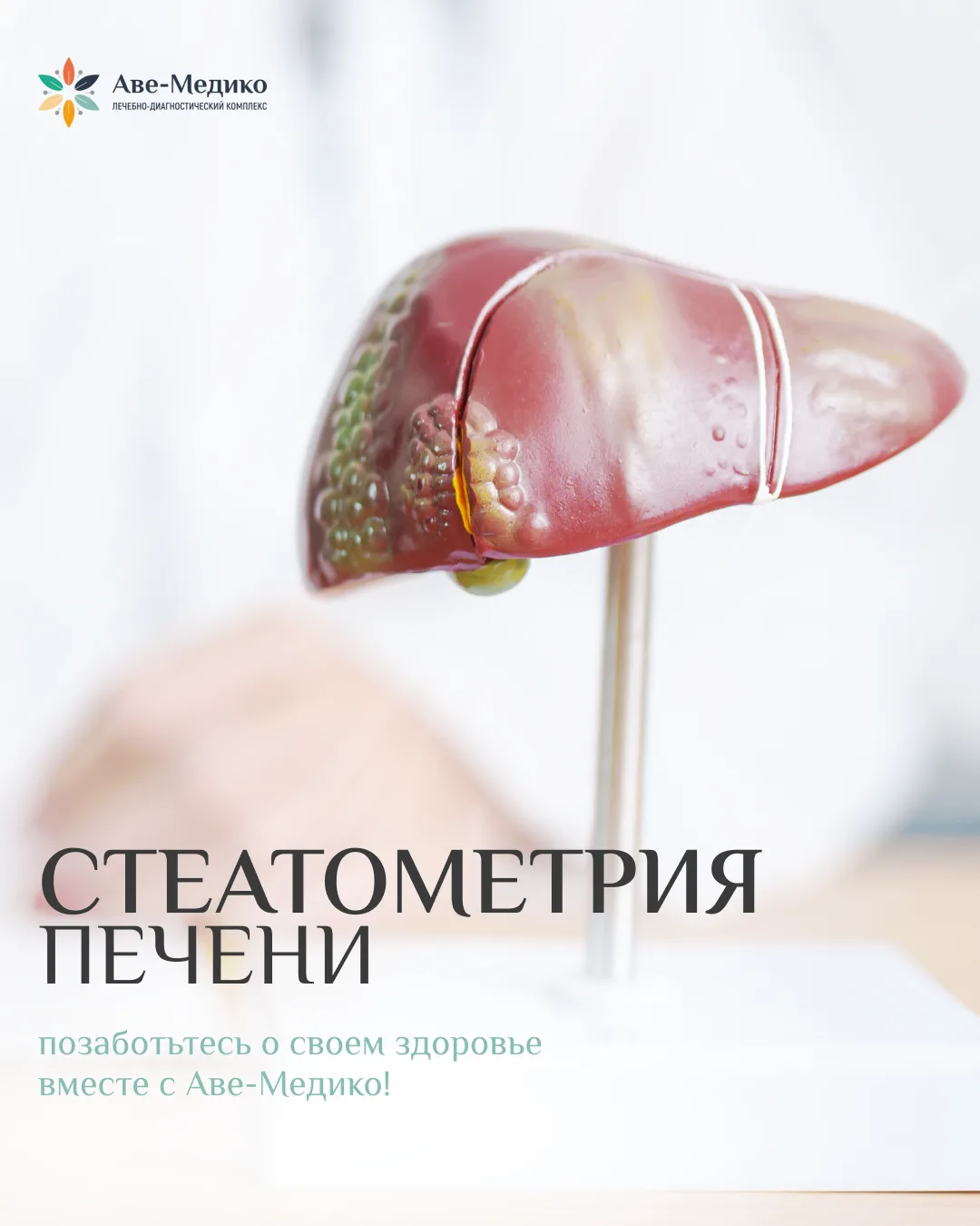 Предотвратите болезни печени вместе с  «Аве-Медико»!