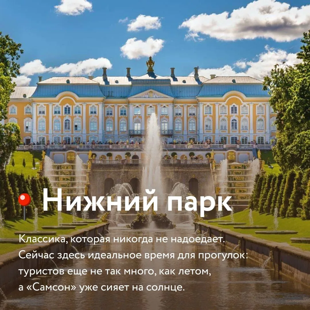 Ваш идеальный путеводитель по Петергофу 🕊