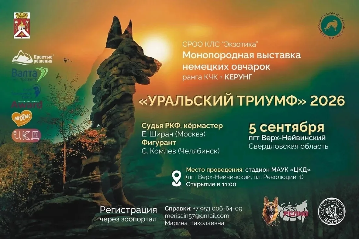 Хотите посмотреть на прекрасных собак?