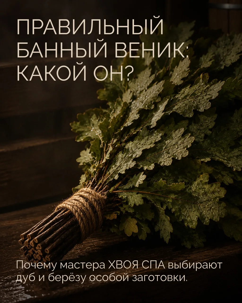 Секреты банного мастерства — анатомия идеального веника в ХВОЯ СПА