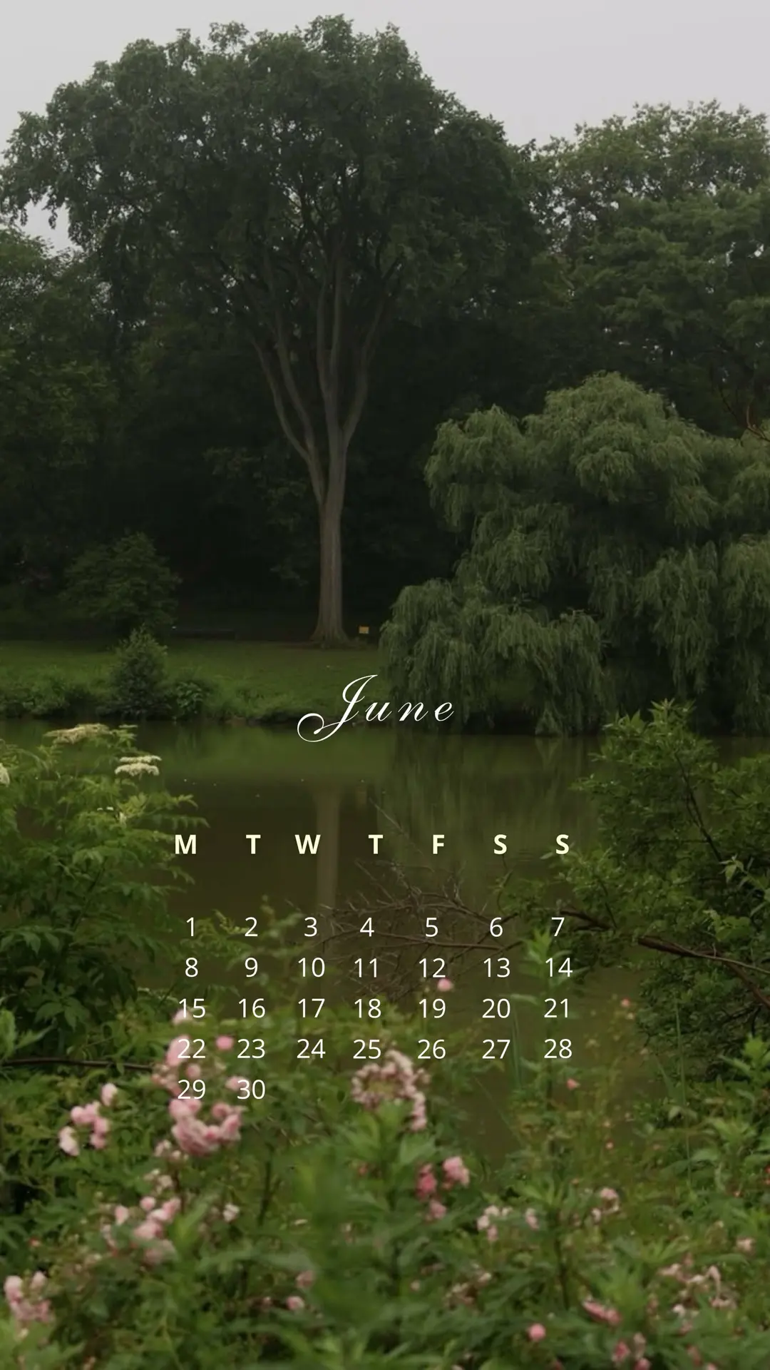 Hello, June! Hello, summer!