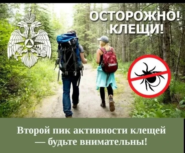 🍁В конце августа — начале сентября в регионе наступает второй сезонный пик активности ...
