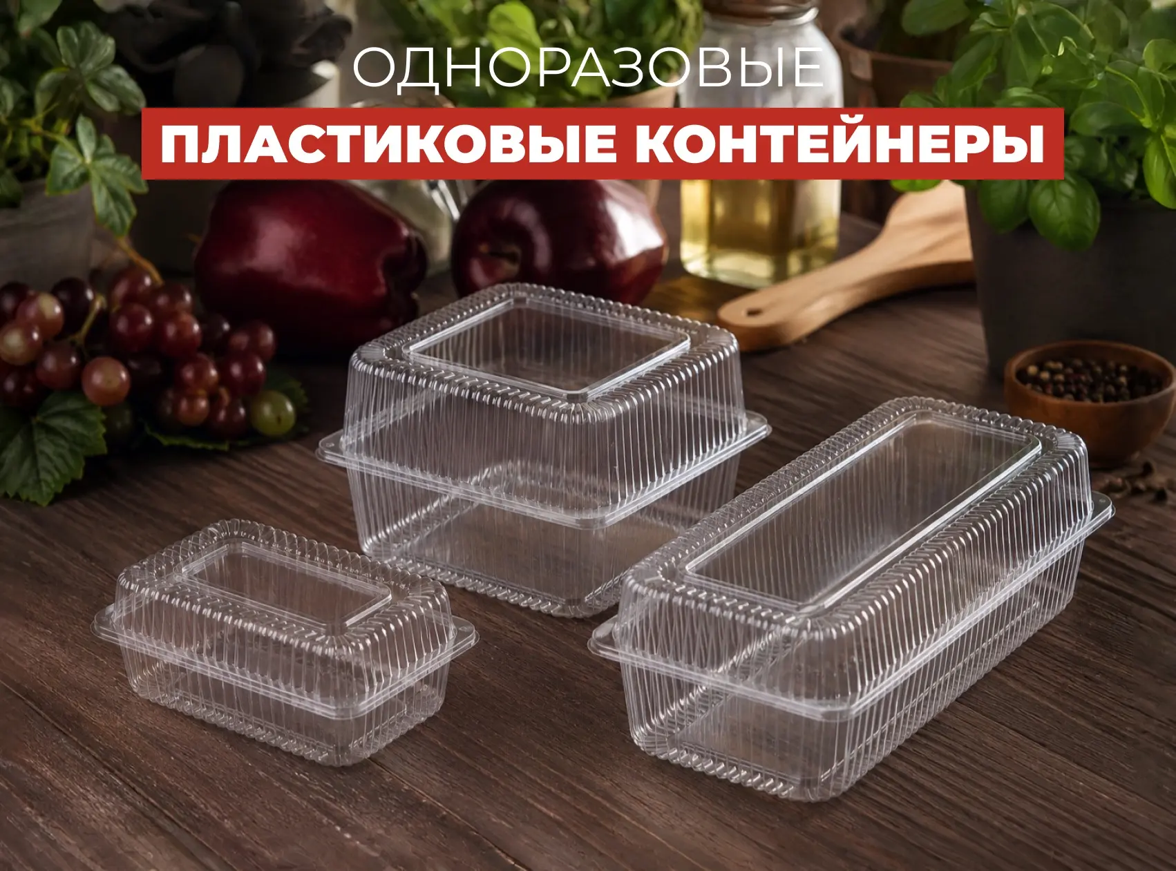 🍱 Новинка: одноразовые пластиковые контейнеры в удобном формате!
