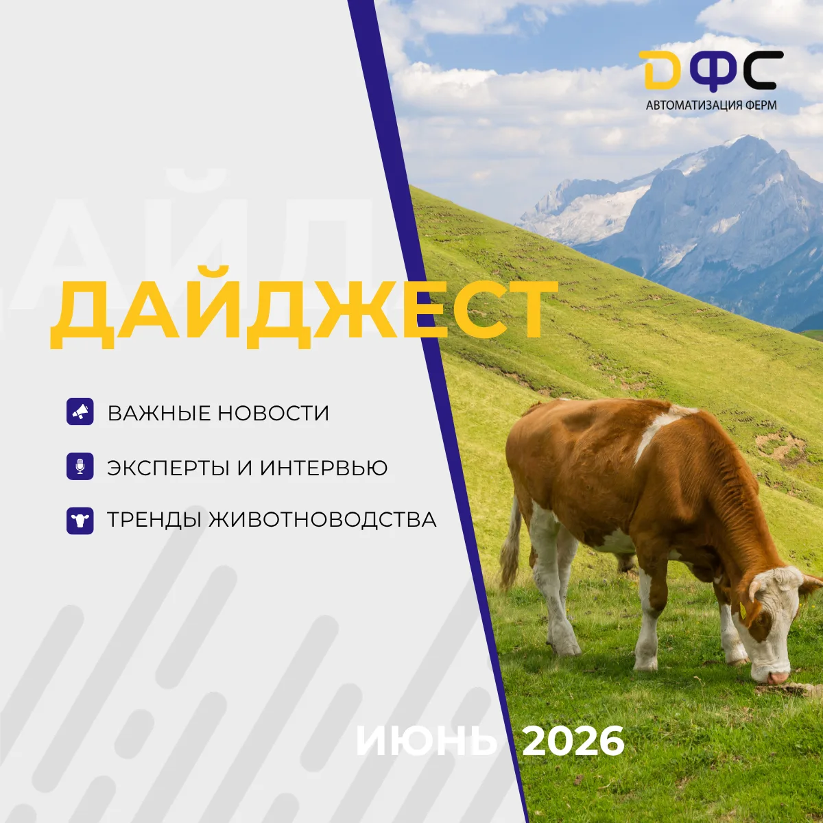 ⚡️️️️️️️️️️️️️️️️️️️️️️️️️️️️️️️️️️️️️️️️️️️️️️️️️️️️️️️️️️️️️️️️️ Дайджест июня ДФС: самые важные н