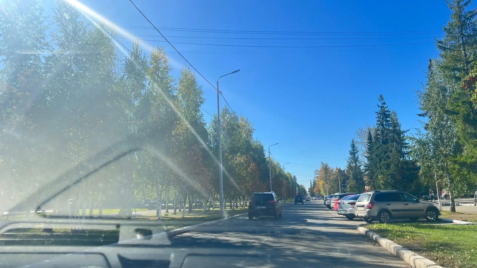 Город зеленого цвета 💚