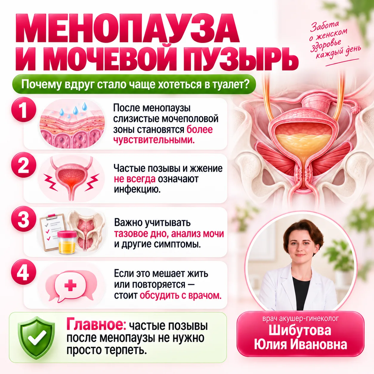 🌸 МЕНОПАУЗА И МОЧЕВОЙ ПУЗЫРЬ: ПОЧЕМУ ВДРУГ СТАЛО ЧАЩЕ ХОТЕТЬСЯ В ТУАЛЕТ?