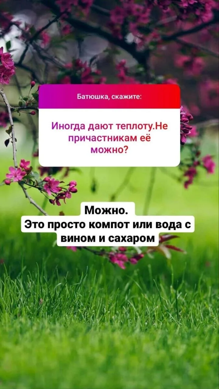 #любимаярубрика