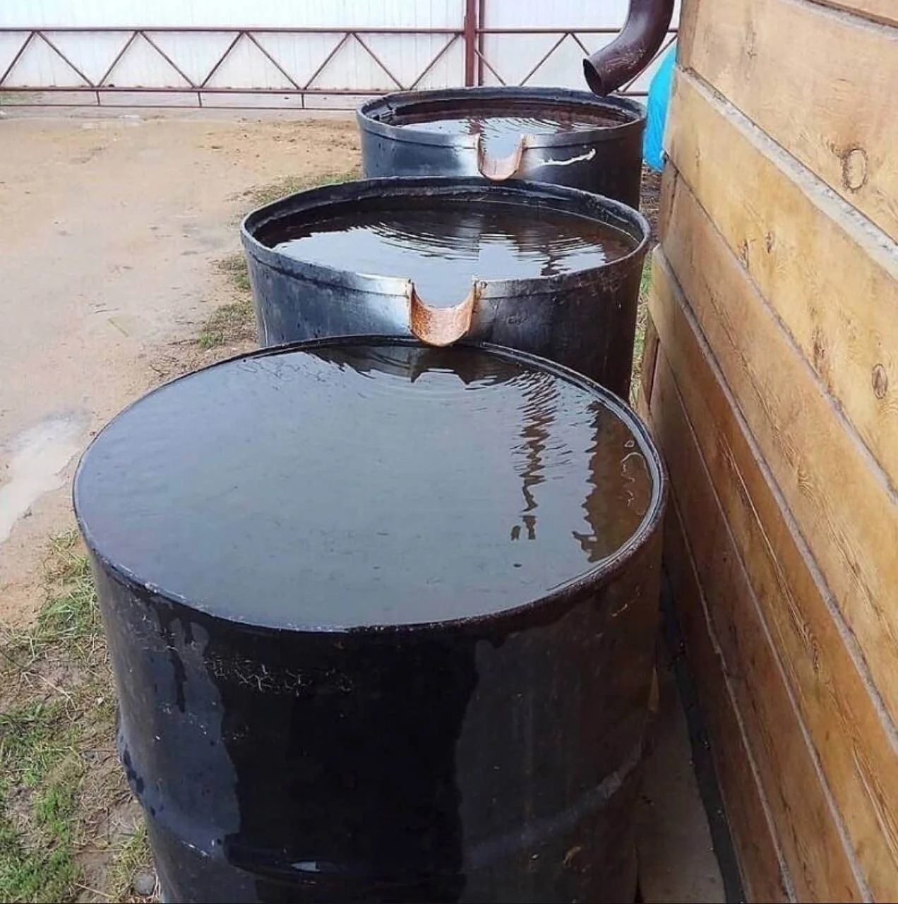 Как вам такая идея для сбора дoждевой воды?