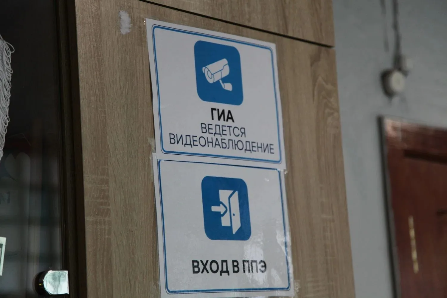 Сегодня  нижегородские девятиклассники сдавали ОГЭ  по предметам по выбору.