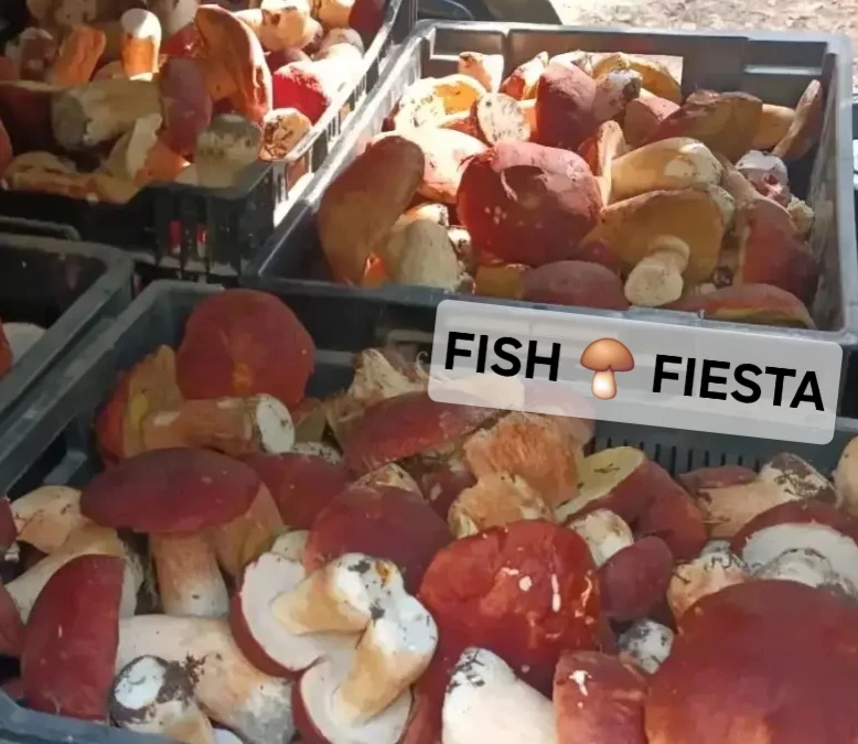 На завтра 17.08 выдача с 19:00 до 20:00 🍄‍🟫🍄‍🟫🍄‍🟫 Свежие белые грибочки 🍄‍🟫