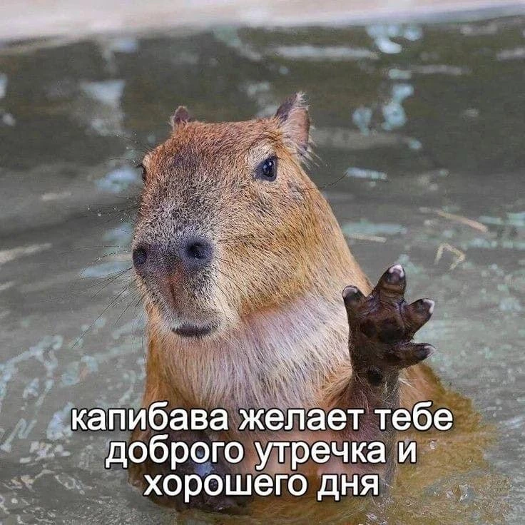 🥰 Всем доброе утро!

Сегодня в Подмосковье днем до +25°С, весь день осадков не обещают, будет солне