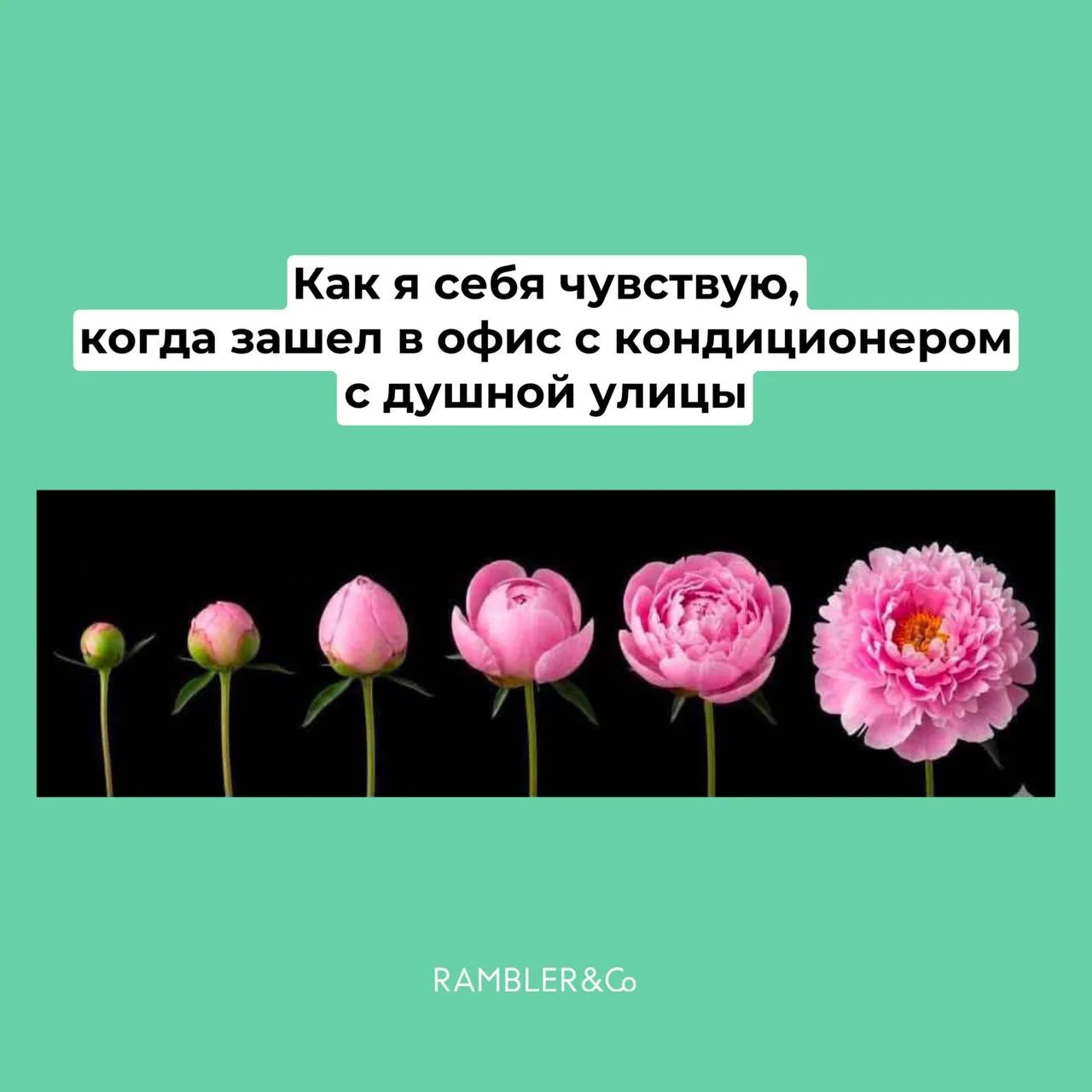 Когда дождались настоящего лета 😅

#Ramblerмем