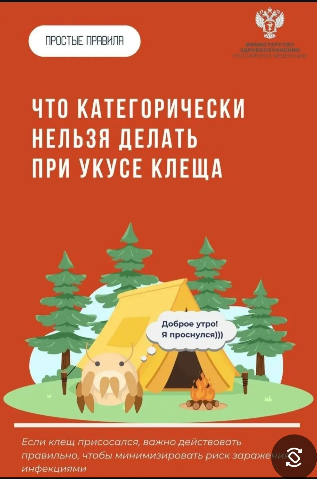 🕷Клещи вышли на охоту.
