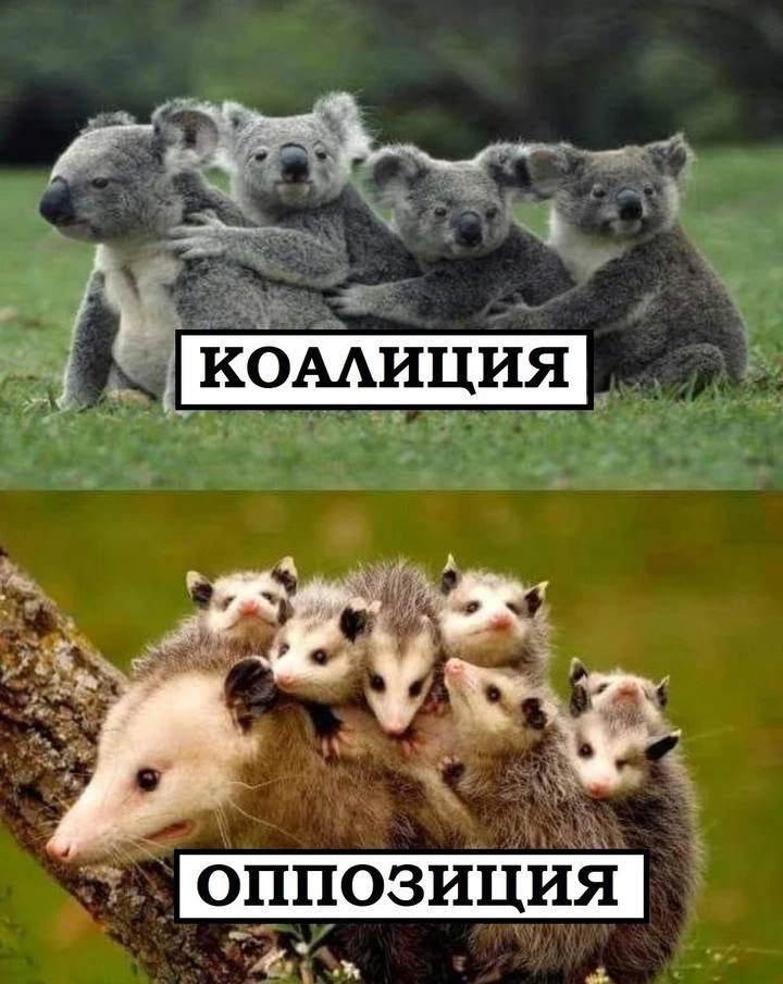 Примерно так и представляют эти слова дети 🤣

Грамотно говоря | #юмор