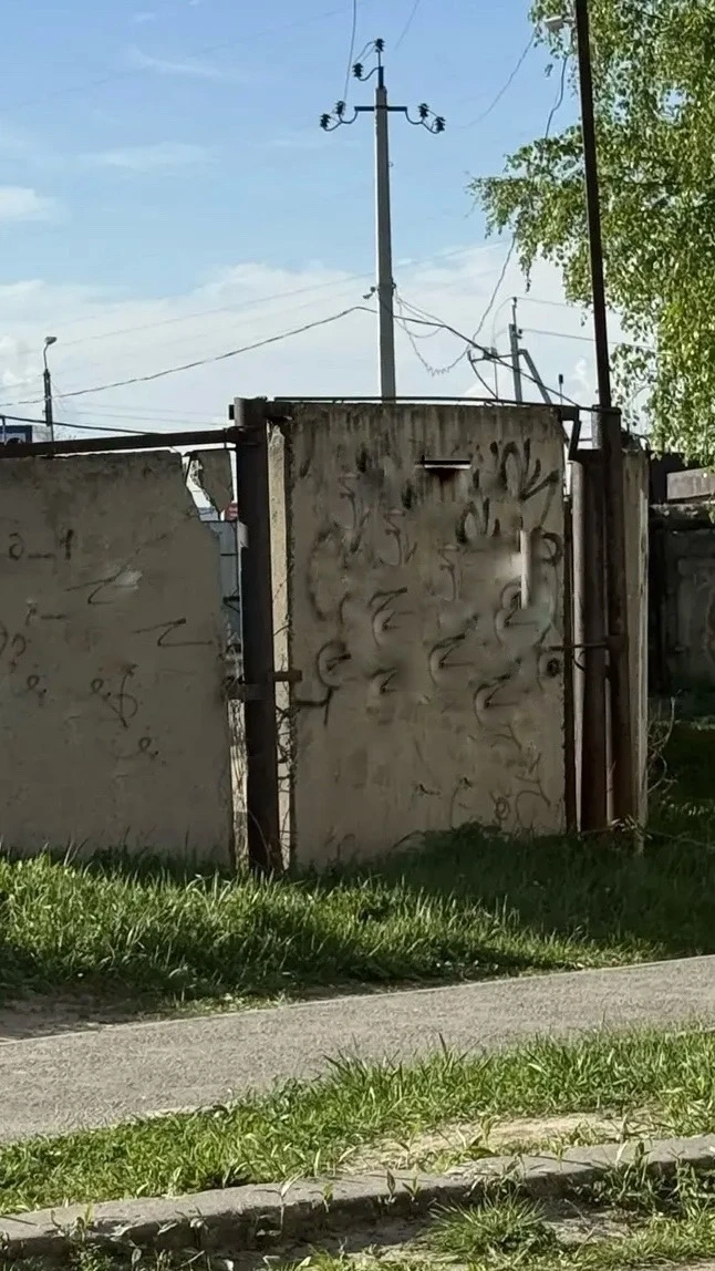 Красочные котики продолжают появляться на фасадах благодаря активистам и волонтёрам🎨

Каждая закраш