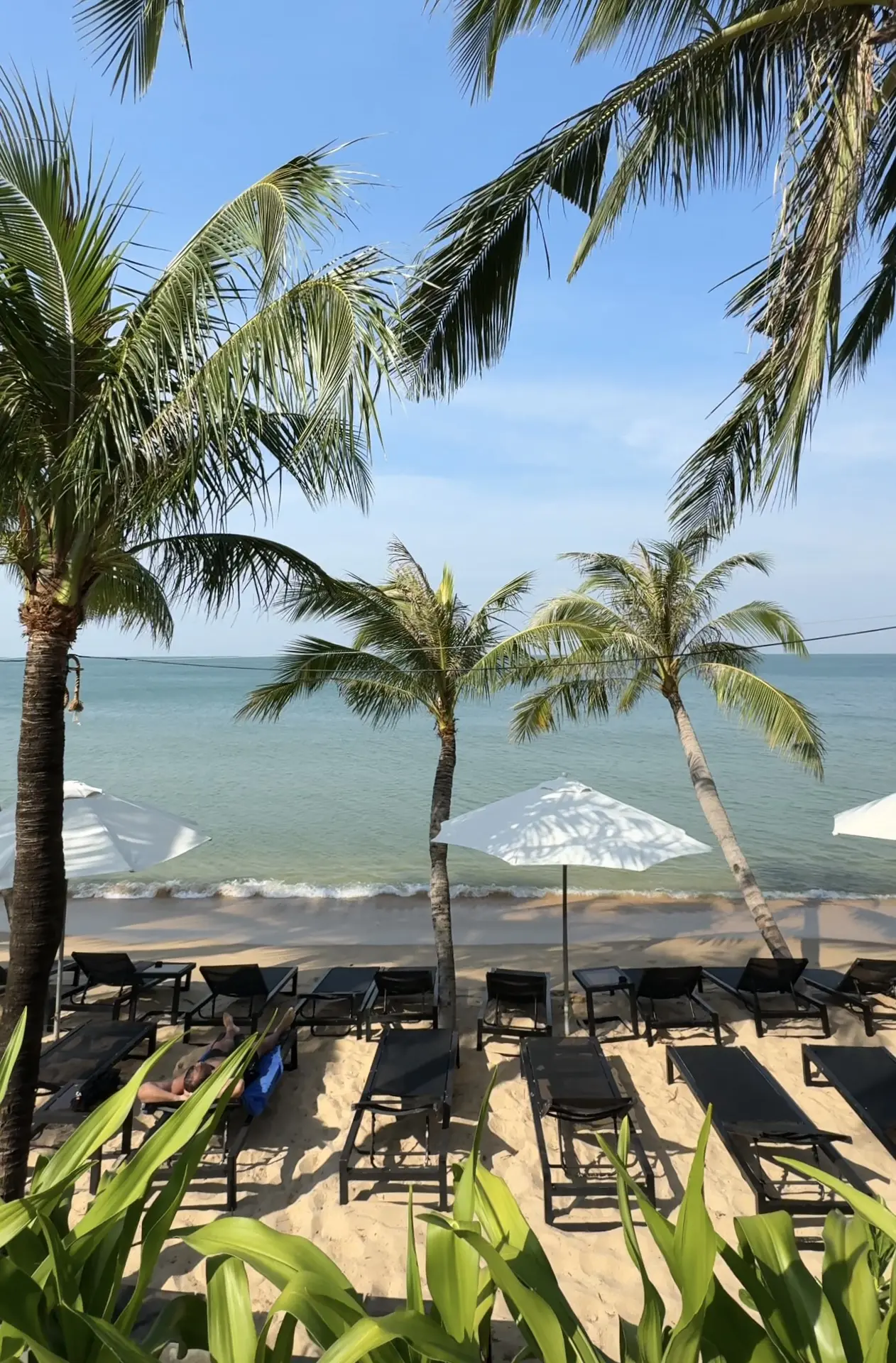 📍Amarin Resort 4*

Проверенный отель на Фукуоке

Компактный, уютный, душевный! Классный вариант для