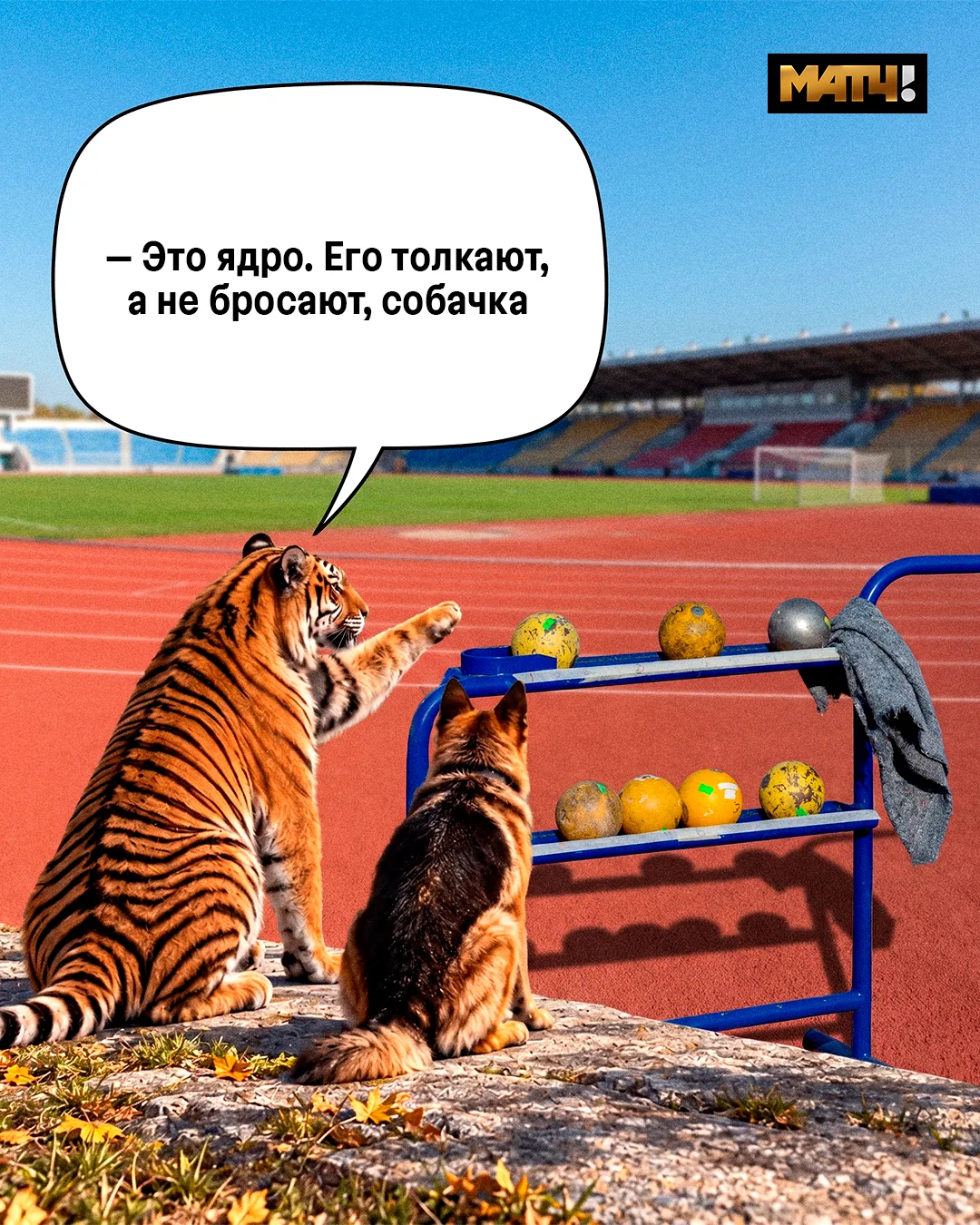 Это лёгкая атлетика, собачка 😍
