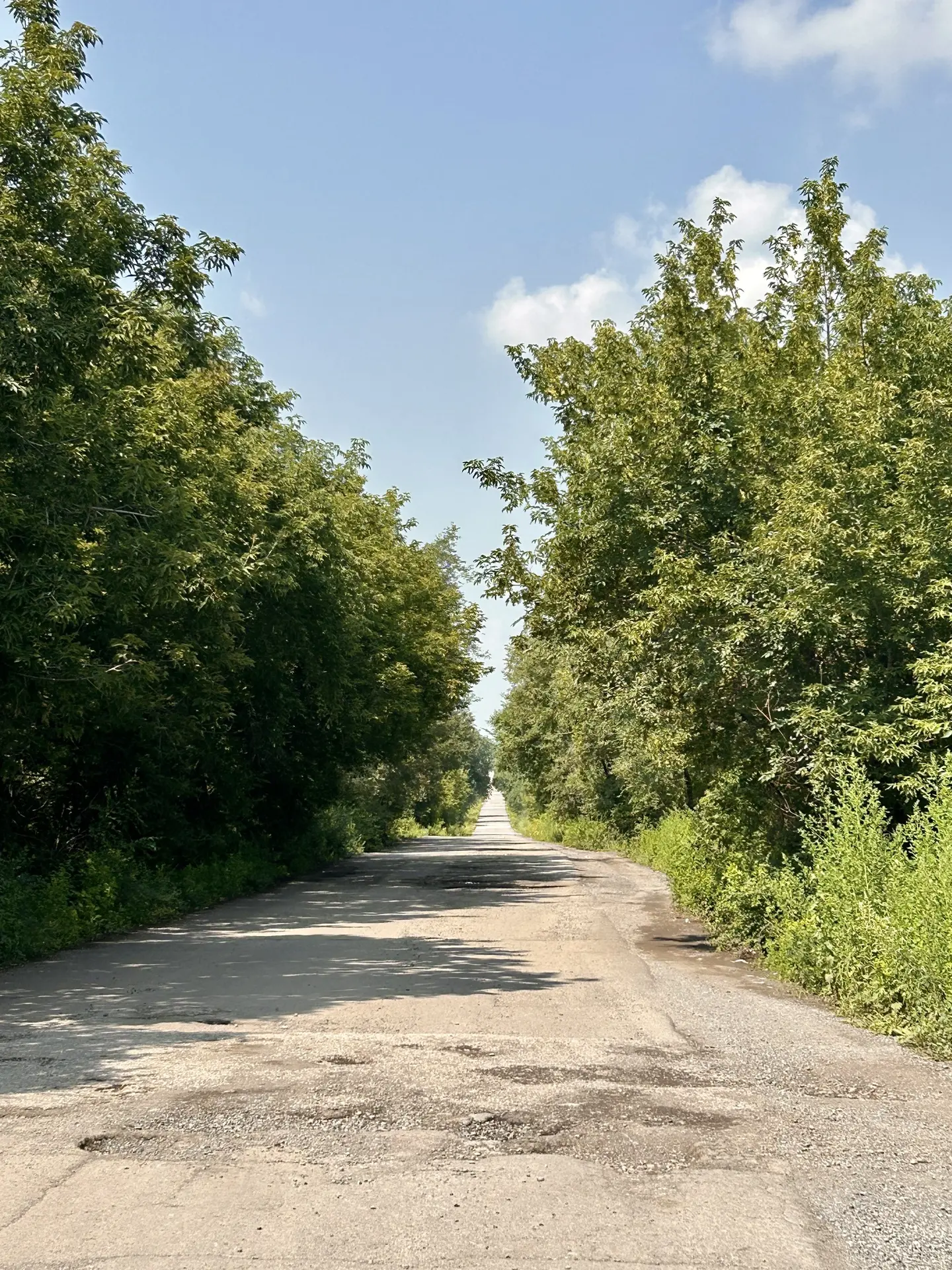 Не поверите, но я сегодня впервые за лето гуляла