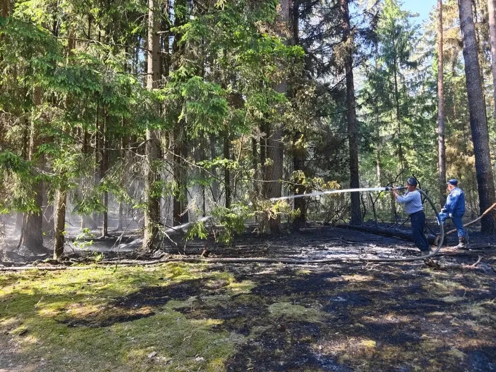 🔥Недалеко от д. Мануйлово был оперативно ликвидирован лесной пожар. Возгорание обнаружили с помощью 