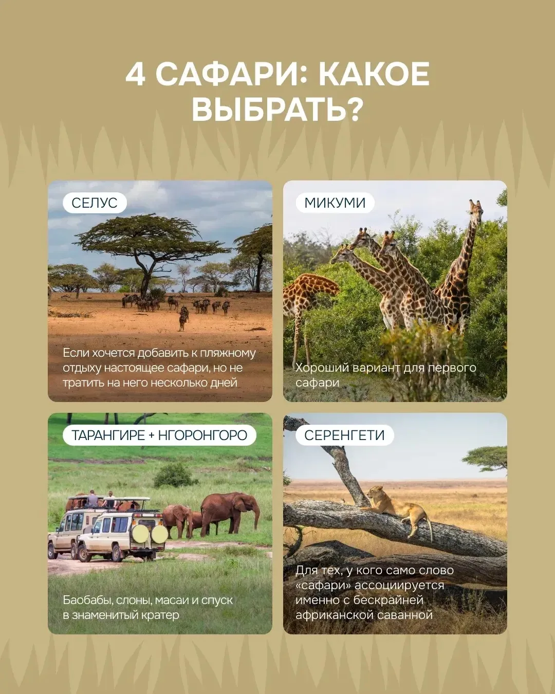 Сафари + пляжный отдых на Занзибаре: 4 программы на любой вкус от 315 000₽ за двоих 🔥