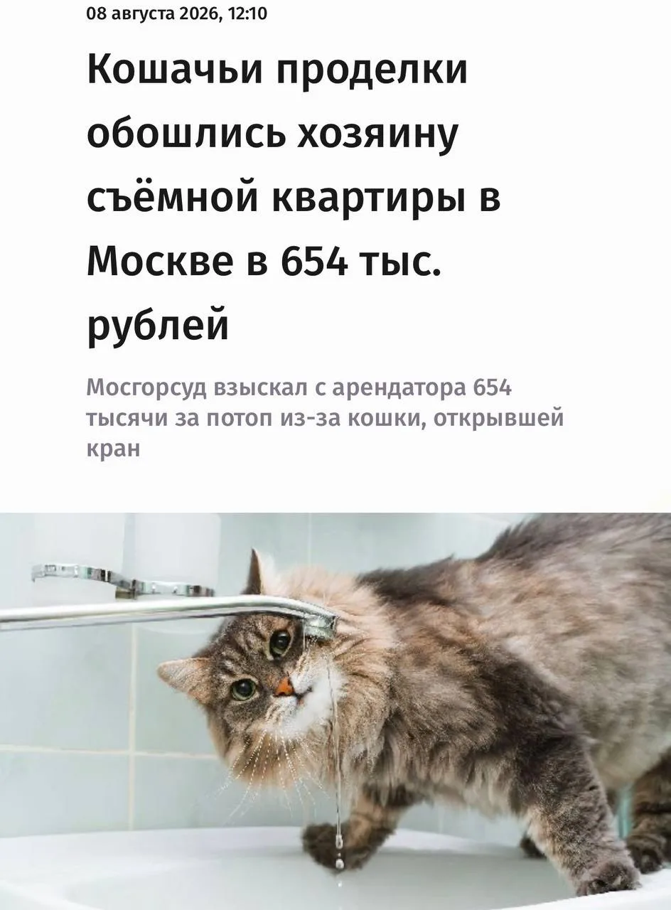 Изображение 1 к публикации «москоугёрлз»