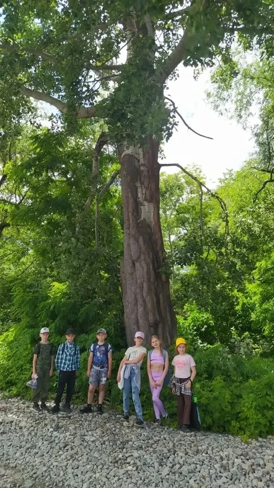 Орлята 3 «Б» и 4 «Б»: поход к тайнам реки 🦅🌿

В один из солнечных дней наши Орлята из 3 «Б» и 4 «Б