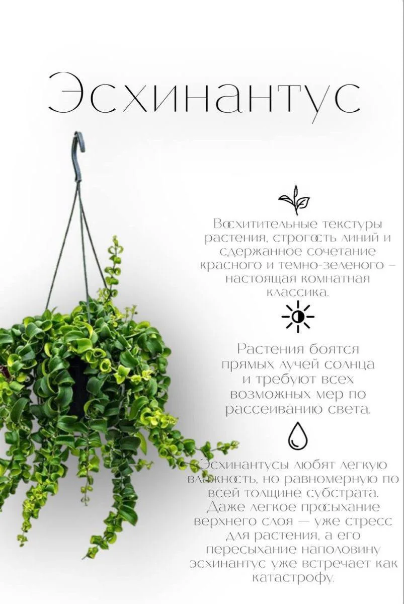 Уход