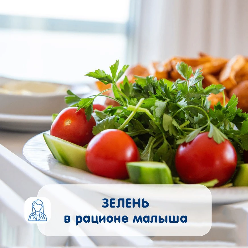 ЗЕЛЕНЬ В РАЦИОНЕ малыша — важные подсказки!

Салат, шпинат, щавель ценятся нежными сочными листьями,