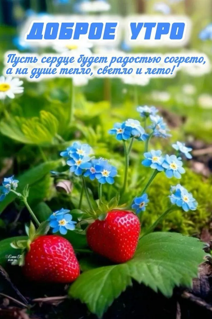 Доброго утра! Хорошего дня!
