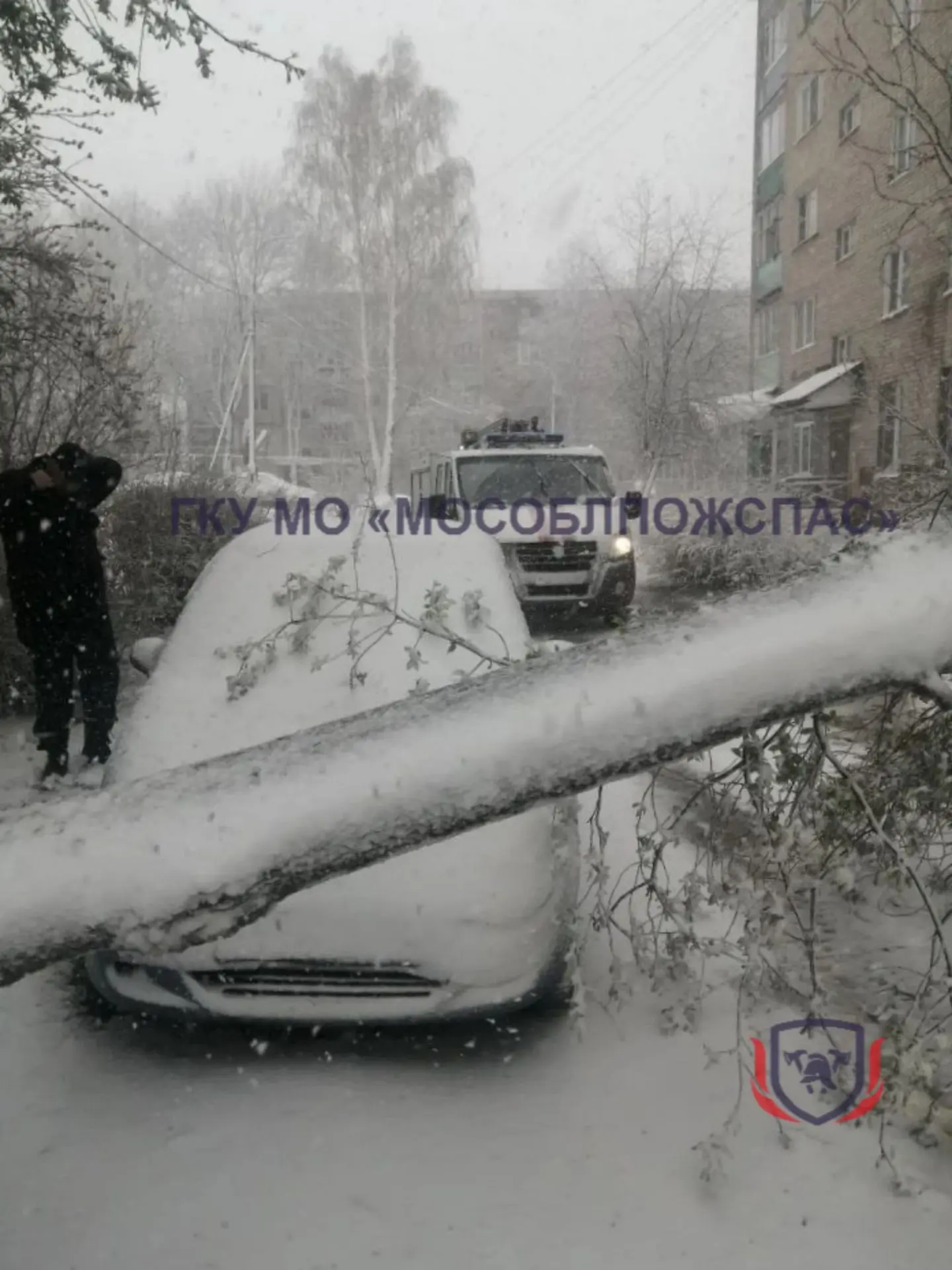 ❄️Оборванные провода, деревья на трассе. Спасатели продолжают ликвидировать последствия снегопада 🚨 